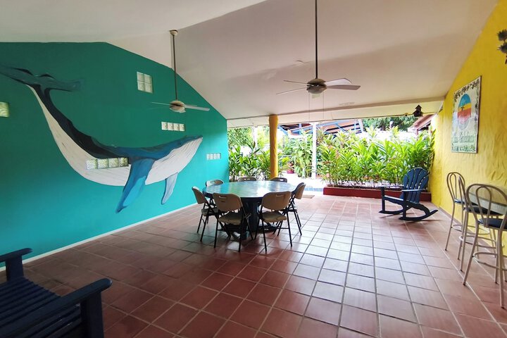 Room 20 of 50