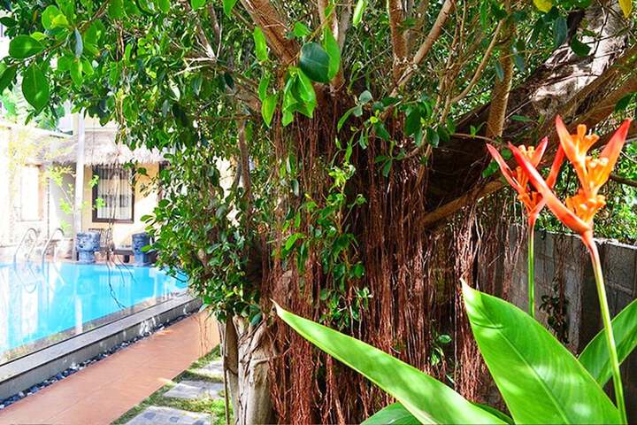 Pool Hotel