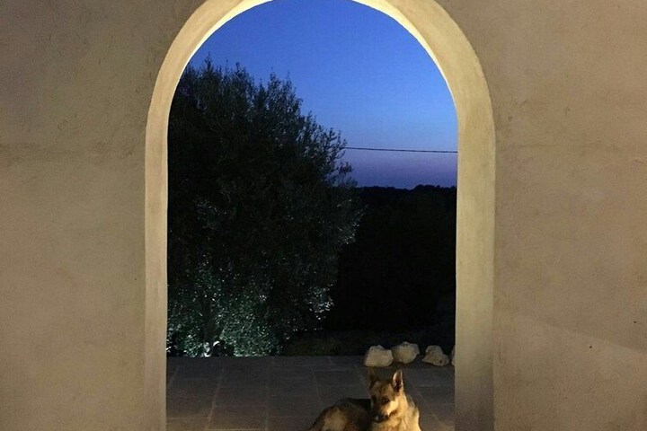 Pet Friendly 26 of 67