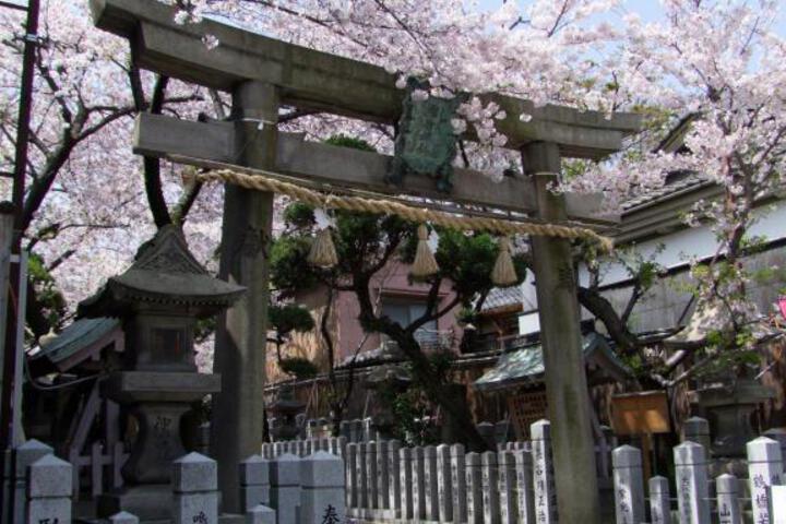Photo 17