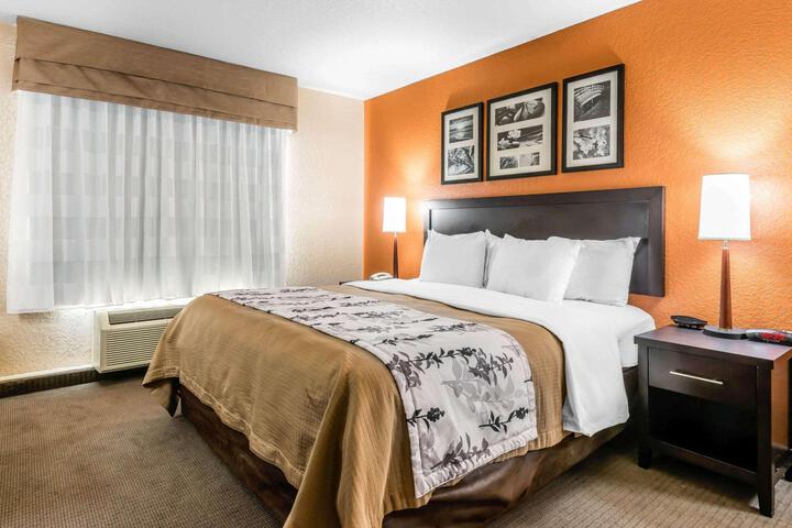 1 King Bed Accessible (13 of 23)