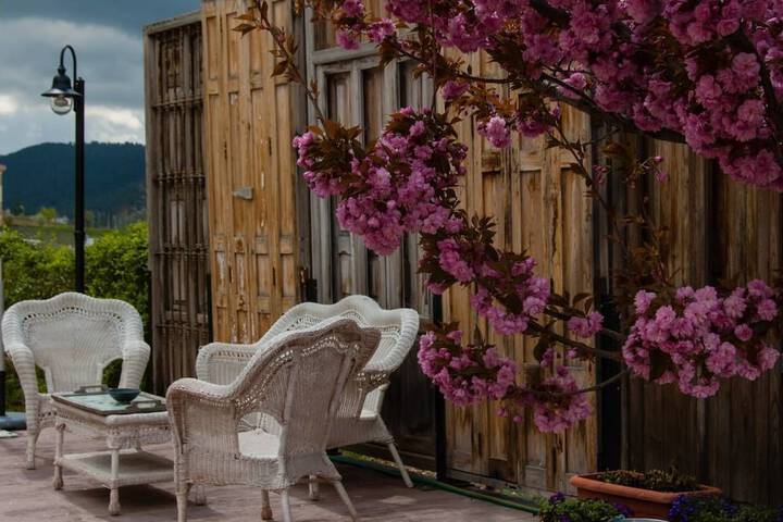 Terrace/Patio 14 of 40