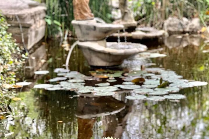 Terrace/Patio 136 of 147