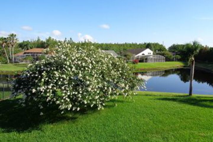 Property Grounds 7 of 12