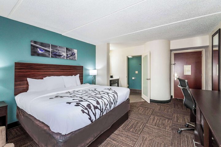 1 King Bed (10 of 10)
