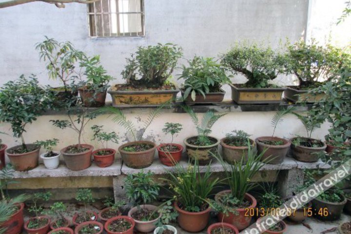 Shendu Lvyuan Farmhouse