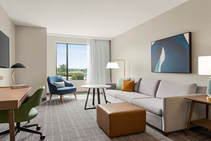 1 King Bed Studio Suite Communication Accessible (8 of 19)