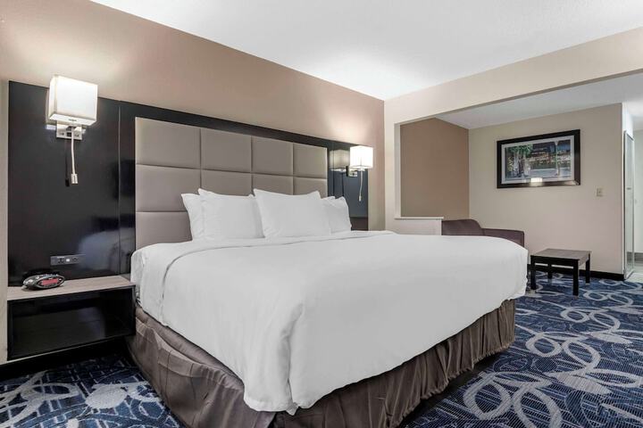 1 King Bed Accessible (7 of 13)