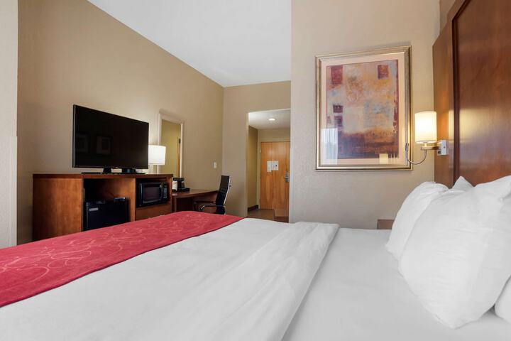 1 King Bed Suite (6 of 15)