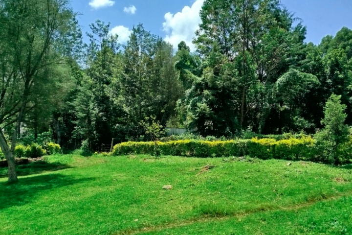 Countryside Hotel