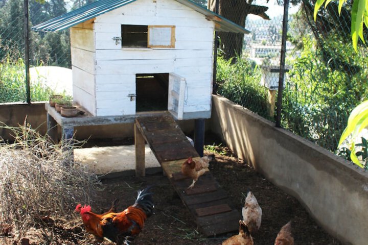 Property Grounds 27 of 32