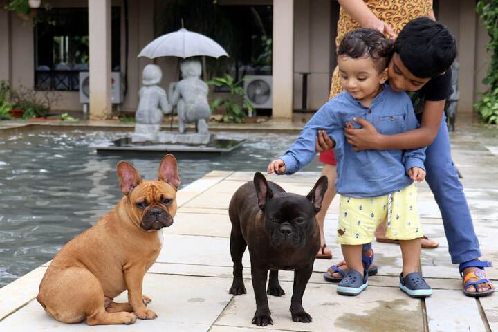 Pet Friendly 82 of 154