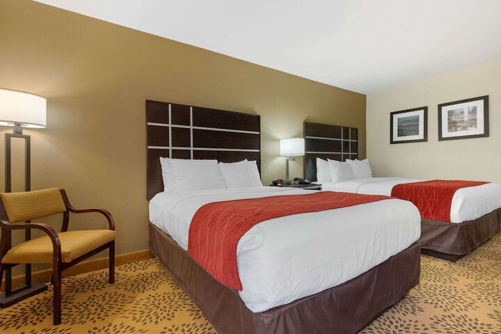 2 Queen Beds (1 of 9)
