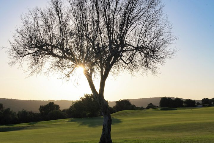 Golf 26 of 70