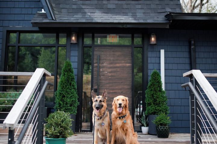 Pet Friendly 31 of 38