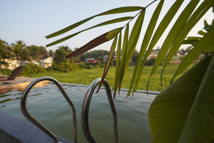 Pool 45 of 53
