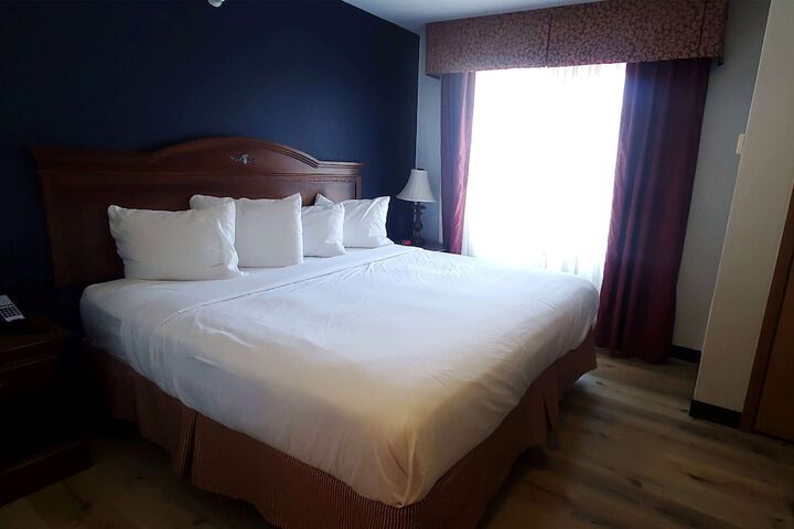 1 King Bed Studio Suite (1 of 23)