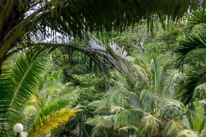 Hotel 153 of 193