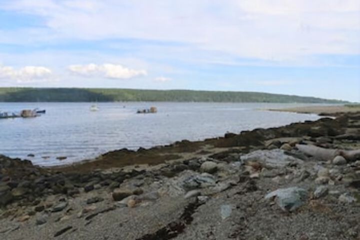Beach 10 of 37