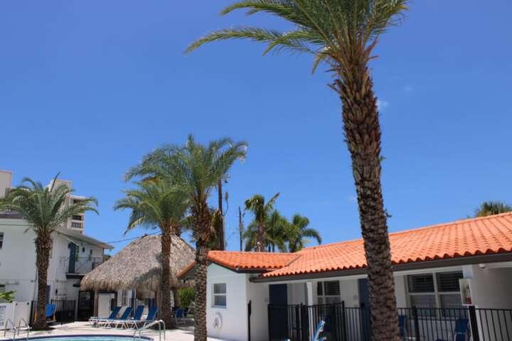 Property Grounds 96 of 102