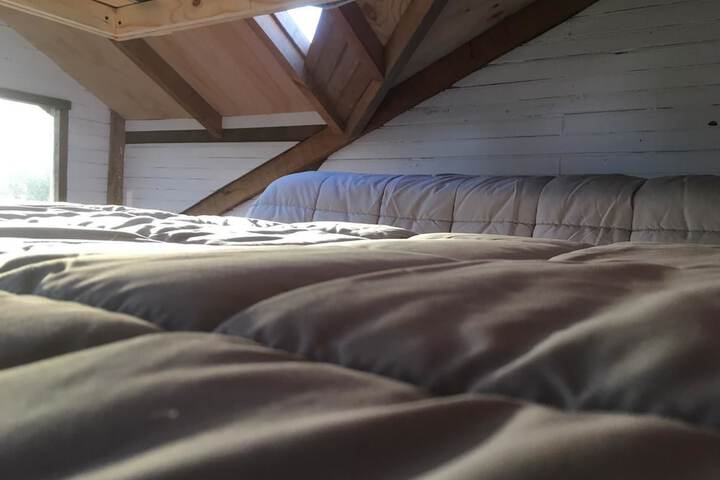 Room 12 of 34