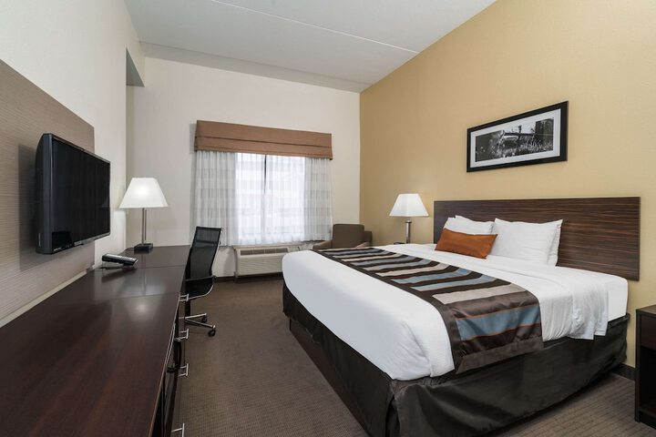 1 King Bed (8 of 15)