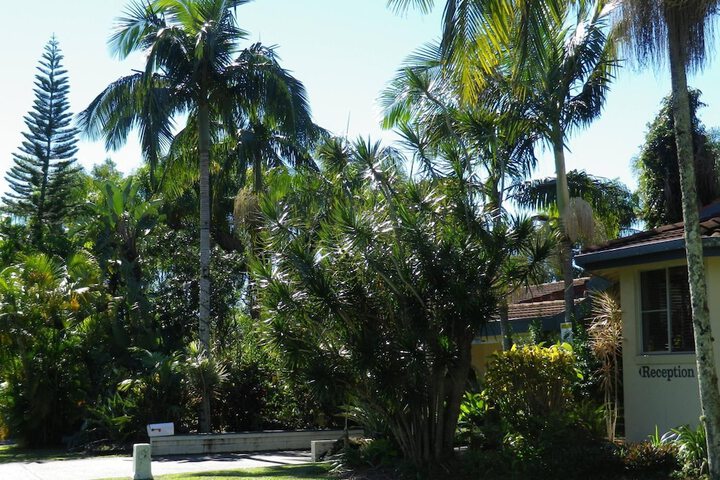 Property Grounds 41 of 54
