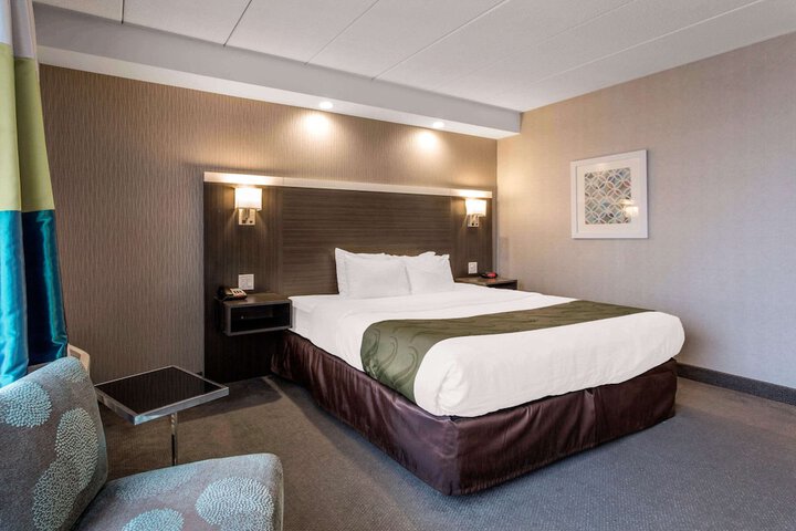 1 King Bed (11 of 11)