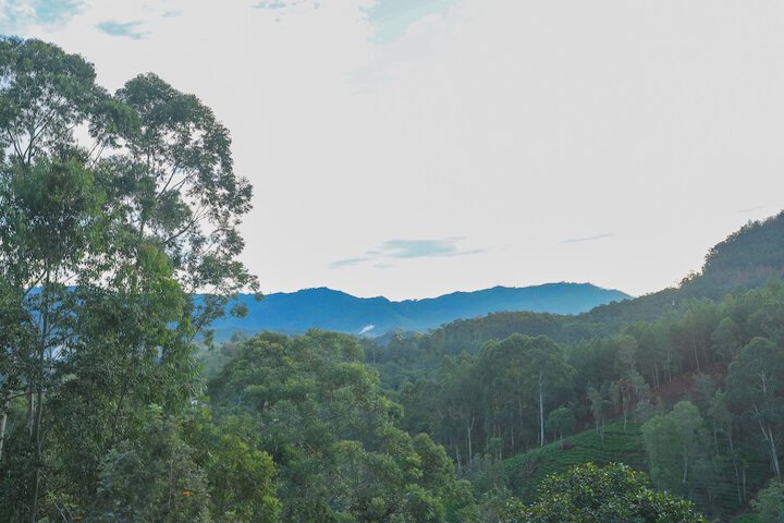 Hotel View 107 of 116