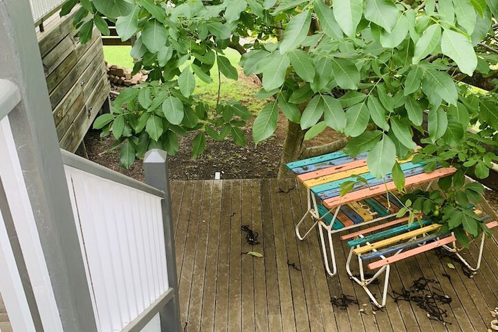 Terrace/Patio 37 of 62