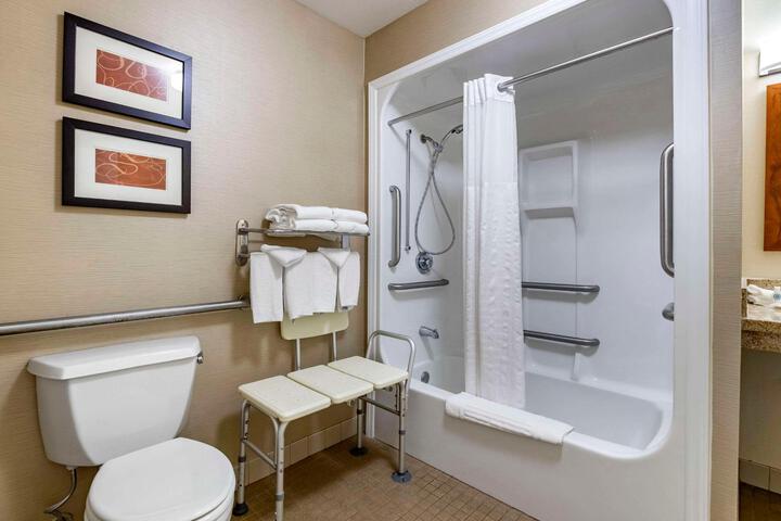 1 King Bed Accessible (15 of 17)