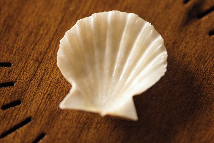 Beach 94 of 114