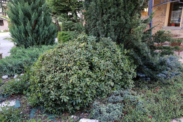 Property Grounds 35 of 52