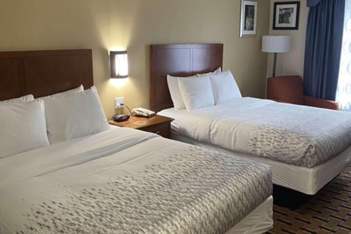 2 Queen Beds (18 of 23)