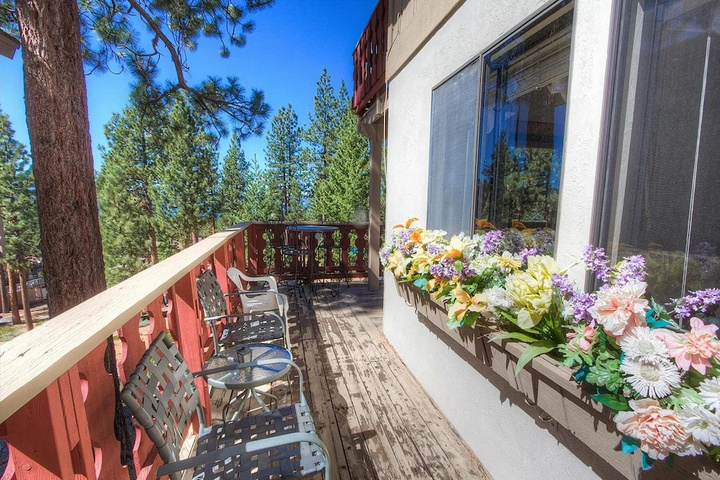 Terrace/Patio 8 of 18