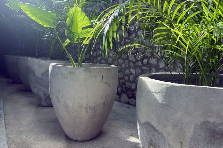 Terrace/Patio 39 of 42