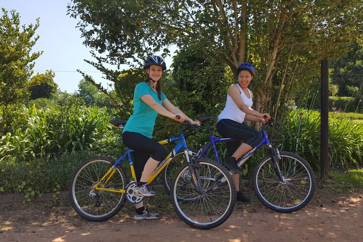 Outdoor Activities 41 of 52