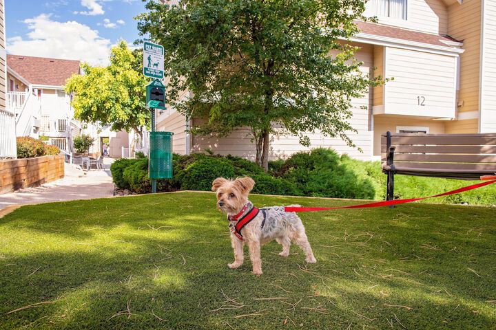 Property amenity