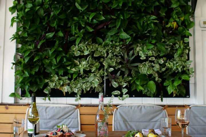 Terrace/Patio 5 of 28