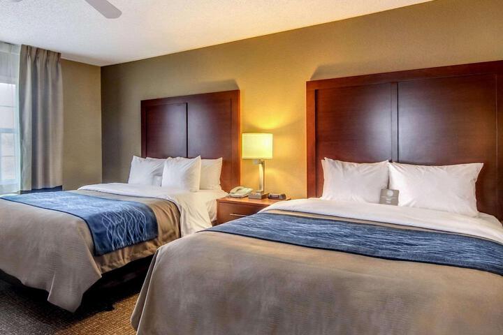 2 Queen Beds (5 of 12)