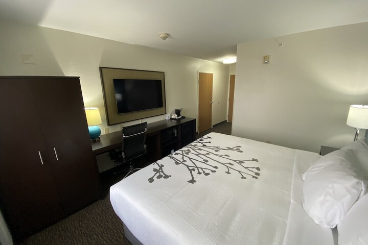 1 King Bed Accessible (8 of 15)