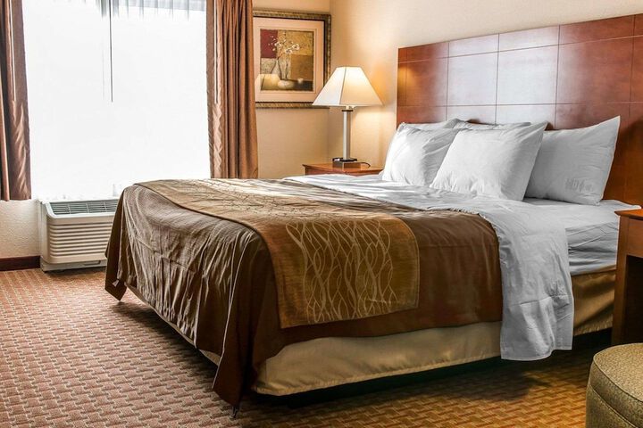 1 King Bed (5 of 8)