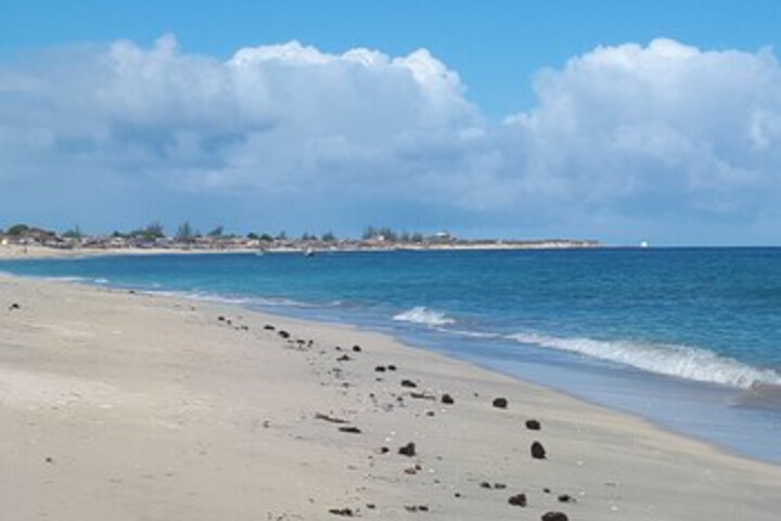 Beach 10 of 65