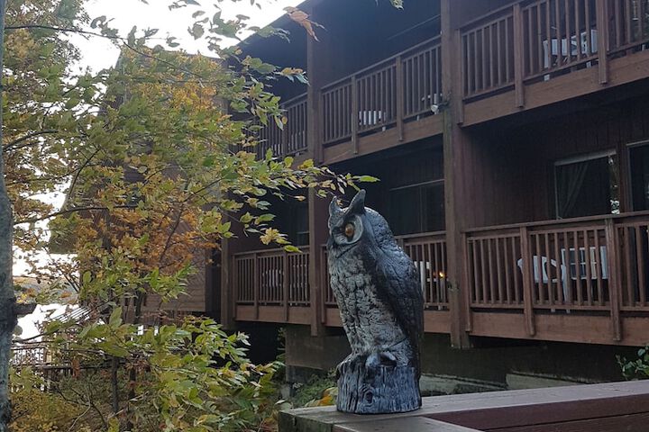 Hotel 132 of 154