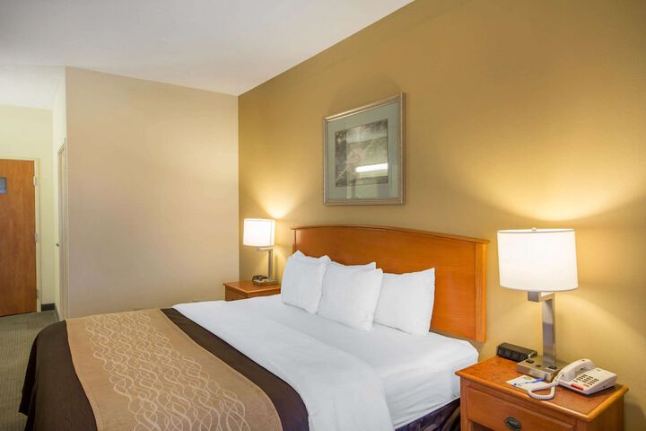 1 King Bed (6 of 8)