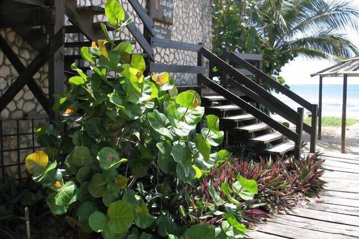 Property Grounds 16 of 24