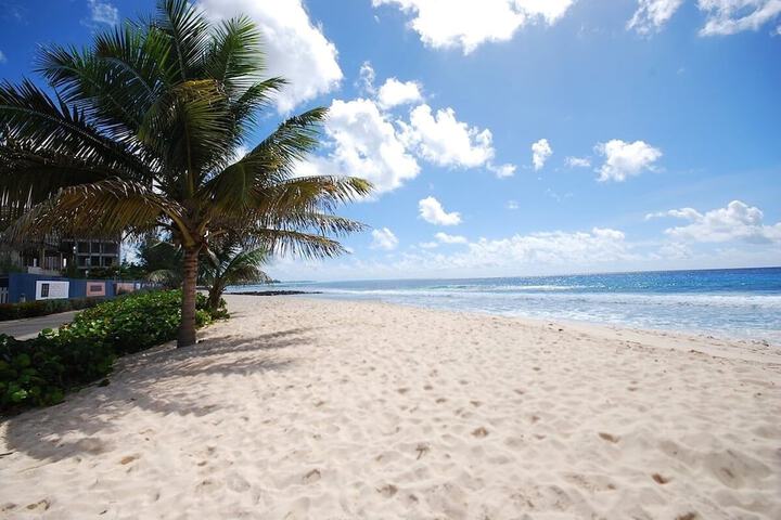 Beach 41 of 48