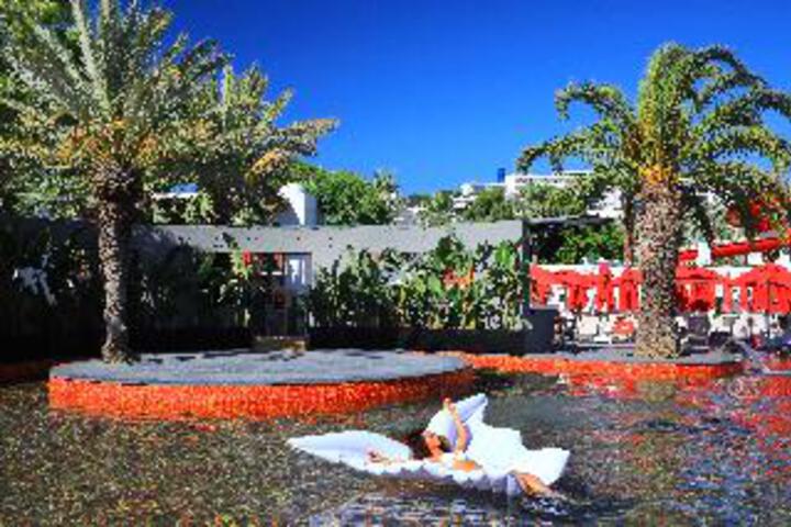 Photo 29