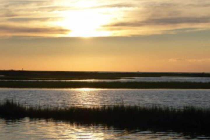 Property Grounds 81 of 113