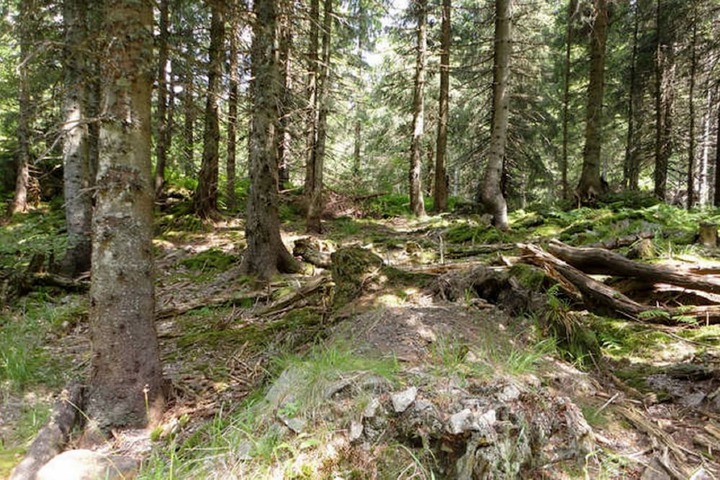 Property Grounds 44 of 62